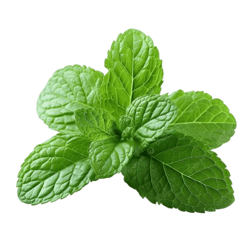 Natural Healing Elements