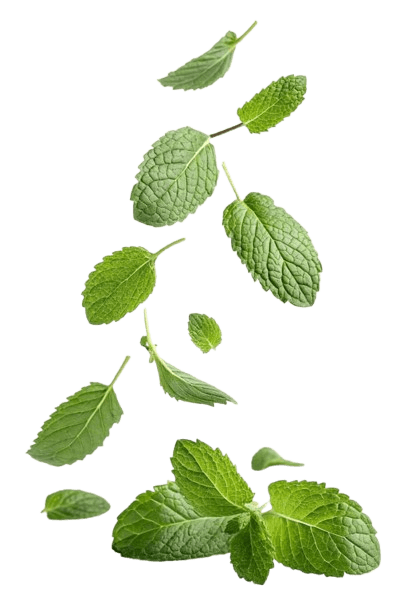 Traditional Medicine